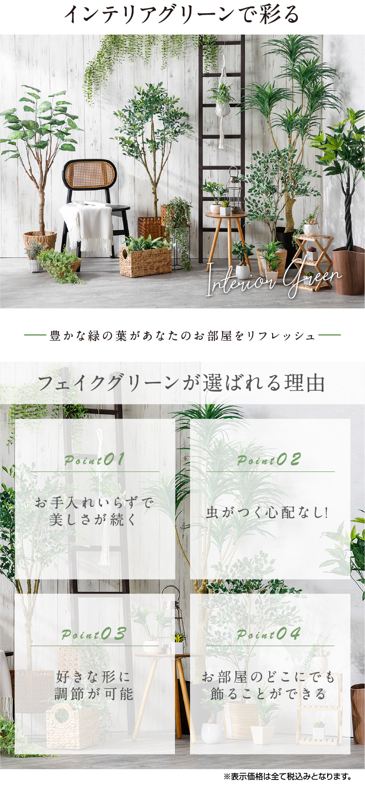 インテリアグリーンで彩る