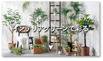 インテリアグリーンコーディネート